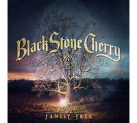 Black stone cherry - Family tree