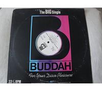 Black Sun You've Broken My Heart 12" Vinyl Single 1977 Buddah Records DSC 129 Stereo