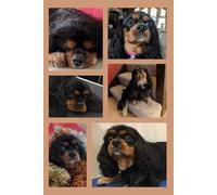 Black & Tan with Love: Cavalier King Charles Spaniel Notebook: A Cute & Practical Journal for Dog Lovers (K&Z Cavalier Lover Series)