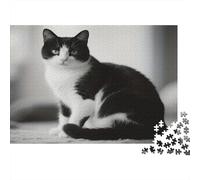 Black White Cat Colourful Black and White Cat 1000 Pieces Puzzle for Adults Unique Classic Educational Games 52x38cm/1000pcs