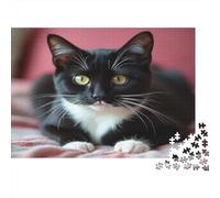 Black White Cat Colourful Tuxedo Cat 1000 Pcs Jigsaw for Adults Beautifully Illustrated Challenging 70x50cm/1000pcs