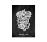 Black White Human Anatomy Art Póster de la columna vertebral Pintura del cerebro médica Mural Canvas Clínica estampado Decoración pared hospital(Picture K,A3 30x42cm No Frame)
