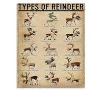 Black White Types Of Reindeer Metal Sign Reindeer Knowledge Chart for Kitchen Cafe Bar Wall Decor Holiday Christmas Tin Sign 8 X 12 inch