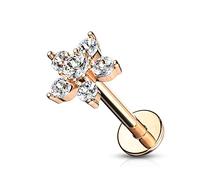 BlackAmazement Pendientes de acero inoxidable 316L Labret Monroe Tragus Helix Flower Flower Zirconia CZ plata rosa oro rosa aqua mujer, Acero inoxidable, Circonia cúbica