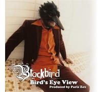Blackbird - Bird's Eye View [Vinilo]