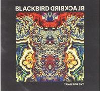 Blackbird Blackbird – Tangerine Sky