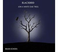 Blackbird (On A White Oak Tree)