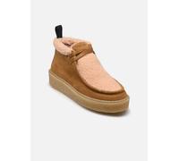 Blackstone EL427 40 Beige