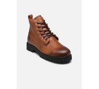 Blackstone OM62 40 Marrón