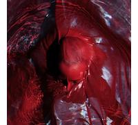 Blackwater Holylight - Not Here Not Gone - Vinyle Transparent [Vinilo]