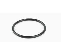 Blagdon Impulsor O Ring Inpond 5-en-1, 3000