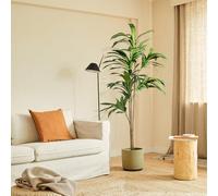 BLAINE | Dracena 175cm | Plantas Artificiales Decorativas | Planta Artificial Grande | Plantas Artificiales para Interior/Exterior | Planta Artificial Realista Decorativa para Casa | Sin Cuiados