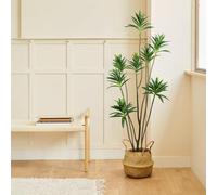 BLAINE | Dracena Reflexa Oscura 150cm | Plantas Artificiales Decorativas | Planta Artificial Grande | Plantas Artificiales para Interior/Exterior | Planta Artificial Realista Decorativa para Casa