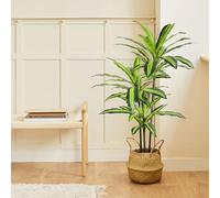 BLAINE | Dracena Variegata 120cm | Plantas Artificiales Decorativas | Planta Artificial Grande | Plantas Artificiales para Interior/Exterior | Planta Artificial Realista Decorativa para Casa