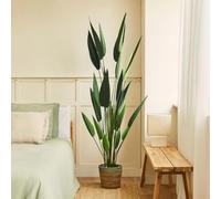 BLAINE | Heliconia 125cm | Plantas Artificiales Decorativas | Planta Artificial Grande | Plantas Artificiales para Interior/Exterior | Planta Artificial Realista Decorativa para Casa