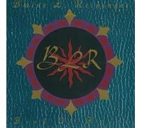 Blaine L. Reininger - Book of hours (1989)