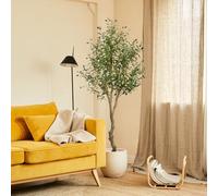 BLAINE | Olivo con Fruto 180cm | Plantas Artificiales Decorativas | Planta Artificial Grande | Plantas Artificiales para Interior/Exterior | Planta Artificial Realista Decorativa para Casa