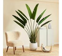 BLAINE | Strelitzia180 cm | Plantas Artificiales Decorativas | Planta Artificial Grande | Plantas Artificiales para Interior/Exterior | Planta Artificial Realista Decorativa para Casa | Sin Cuiados