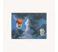 Blake Mills Look (Vinyl) 12" Album (Importación USA)