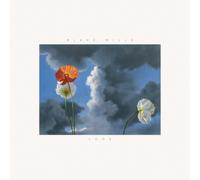 Blake Mills Look (Vinyl) 12" Album (Importación USA)