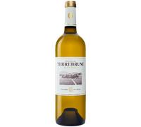 Blanc 2024 - Domaine de Terrebrune