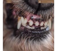 Blanck Mass - World Eater (Ltd.Clear With Red Splatter