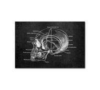 Blanco blanco Cuerpo humano Anatomía Médica lienzo impreso(Picture 1,A2 42x60cm Unframed)