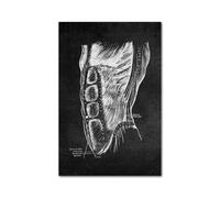Blanco blanco Cuerpo humano Anatomía Médica lienzo impreso(Picture 10,A2 42x60cm Unframed)
