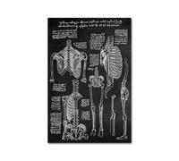 Blanco blanco Cuerpo humano Anatomía Médica lienzo impreso(Picture 2,40x50cm Unframed)