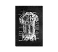 Blanco blanco Cuerpo humano Anatomía Médica lienzo impreso(Picture 5,A2 42x60cm Unframed)