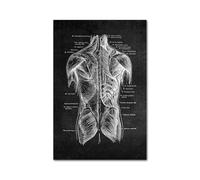 Blanco blanco Cuerpo humano Anatomía Médica lienzo impreso(Picture 6,A1 60x85cm Unframed)