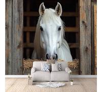 Blanco Caballo Papel Pintado 450 x 315 CM, 3D Cortijo Dormitorio Mate Fotomurales Pared, Impermeable Murales Papel Tapiz, No Tejido Sala de Estar Papel Tapiz Grande