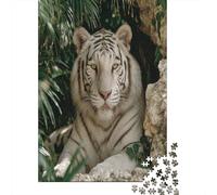 Blanco Tiger Resting in The Green Jungle 38x26cm/1000pcs Rompecabezas para Adultos - Juguete De Bricolaje