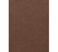 Blank Basketball Notebook - Rustic Chestnut Brown-Red Textured Professional Cover: with Full Court and Half Court Diagrams