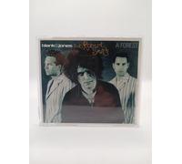 Blank & Jones featuring Robert Smith - A Forest - Maxi CD
