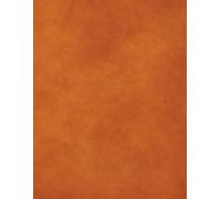 Blank Sheet Music Notebook- A4, 12 Staves per Page, 24 Pages