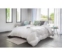 Blanrêve - Edredón Protect Planet - Ultra Suave, Suave y cómodo, para Cama de 2 Personas, Color Blanco, 260 x 240 cm, Fabricado en Francia