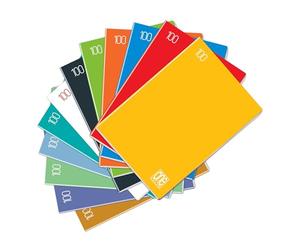Blasetti One Color - Cuaderno formato A4, Maxi cuadernos con Jolly Page, Pack 10 Libretas, Papel de 100gr, Portada monocromática - Rayado 0B - líneas con márgenes 3° de primaria
