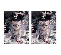 BLASHRD 2X Kit Pintura Diamantes DIY, Taladro Completo para Adultos/Niños, Diamantes Imitación Cristal con Bordado Diamantes Gatito Nieve para Decoración la Pared del Hogar