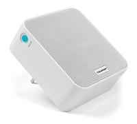 Blaupunkt PMR 100 Chromecast Build-In, Altavoz multisala inalámbrico con transmisión Wi-Fi, Radio con función Aux In y Bluetooth, Caja Plug-in en Elegante diseño, Caja de música inalámbrica