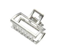 Blausky 2 Stück Haarklammer Metall für Dünnes Dickes Haar,Haarspangen Damen Rutschfest Claw Clips Klein Haarclip Spangen Haarklemmen Haarstyling-Zubehör für Alltag Party,Silber A
