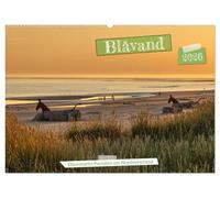 Blåvand - Dänemarks Paradies am Nordseestrand (Wandkalender 2026 DIN A2 quer), CALVENDO Monatskalender: Traumhafte Bilder von den Stränden Blåvands, die Lust auf Urlaub und Meer machen