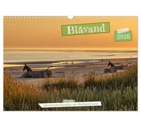 Blåvand - Dänemarks Paradies am Nordseestrand (Wandkalender 2026 DIN A3 quer), CALVENDO Monatskalender: Traumhafte Bilder von den Stränden Blåvands, die Lust auf Urlaub und Meer machen