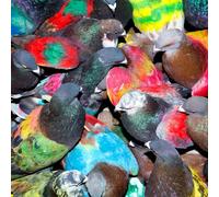 <![CDATA[Blawan - SickElixir (LP)]]>