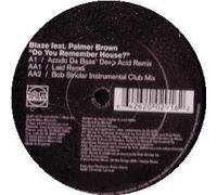 Blaze - Do You Remember 2 [Vinilo]