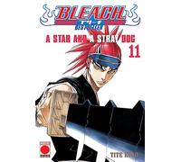 Bleach Bestseller 11. A star and a stray dog