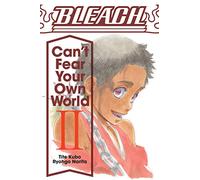 Bleach: Can't Fear Your Own World, Vol. 2: Volume 2 (BLEACH CANT FEAR YOUR OWN WORLD LIGHT NOVEL SC)