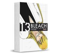 Bleach Remix Vol. 13 (Em Portugues do Brasil)