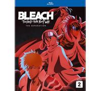 BLEACH: Thousand-Year Blood War Parte 2 – Viz Media – Edición estándar