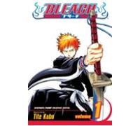 Bleach Vol. 1